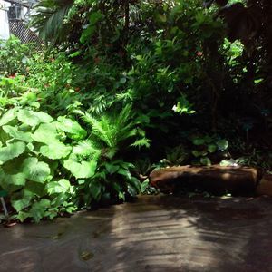 Meet your Posher, Sonia